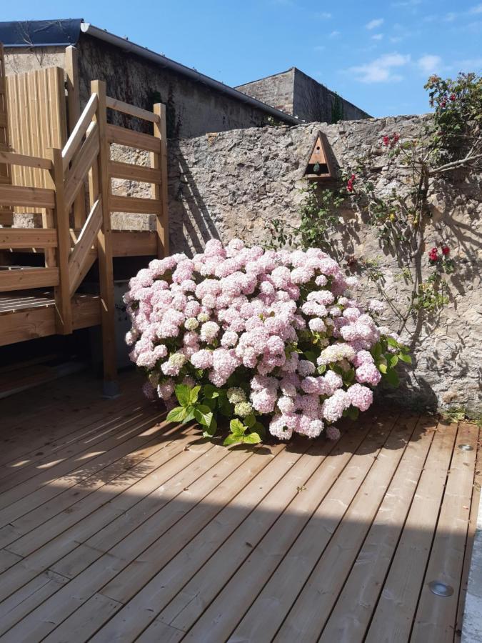 Nature - Gîte entièrement neuf à 100m de la plage Wimereux Esterno foto